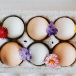 Länge der Haltbarkeit von Eiern bei Zimmertemperatur