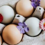 Lebensmittelaufbewahrungsdauer von Eiern im Kühlschrank