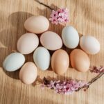 Eieraufbewahrungsdauer im Kühlschrank