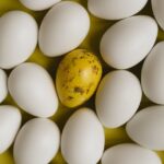 Lagerungsdauer selbstgefärbter Eier