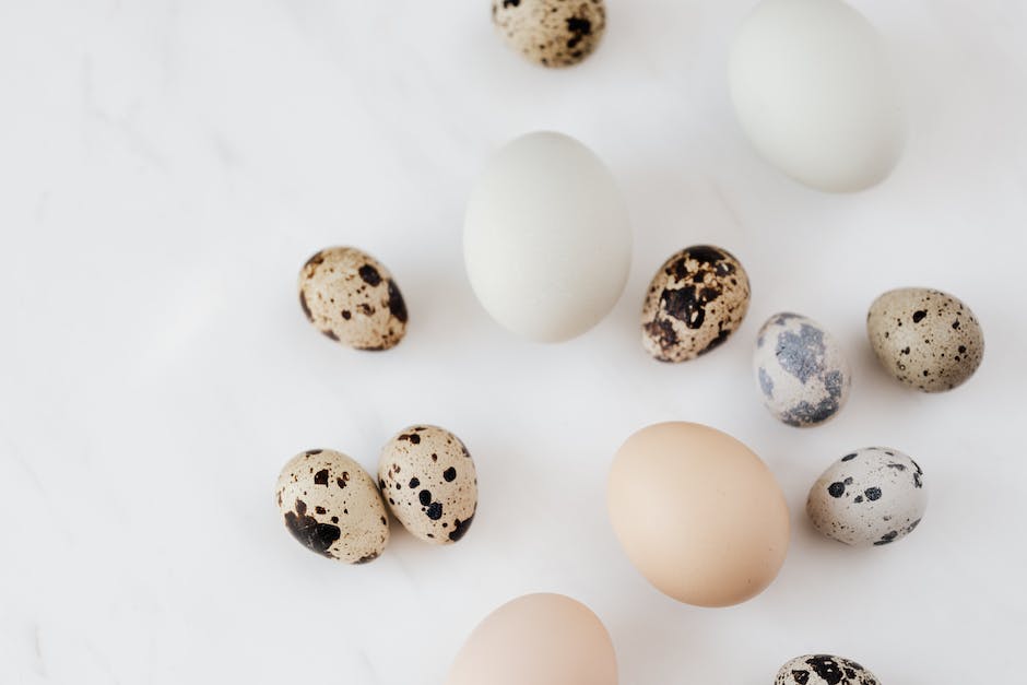 warum legen Hühner jeden Tag Eier?