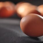 schwarze Eier produzierende Hühnerrassen
