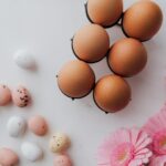 Hühner die weiße Eier legen
