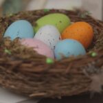 Lohmann-Hühner legen Eier bis zu einer Dauer von 22 Wochen.