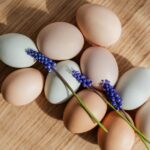 Eier pro Tag – Ernährungsempfehlungen
