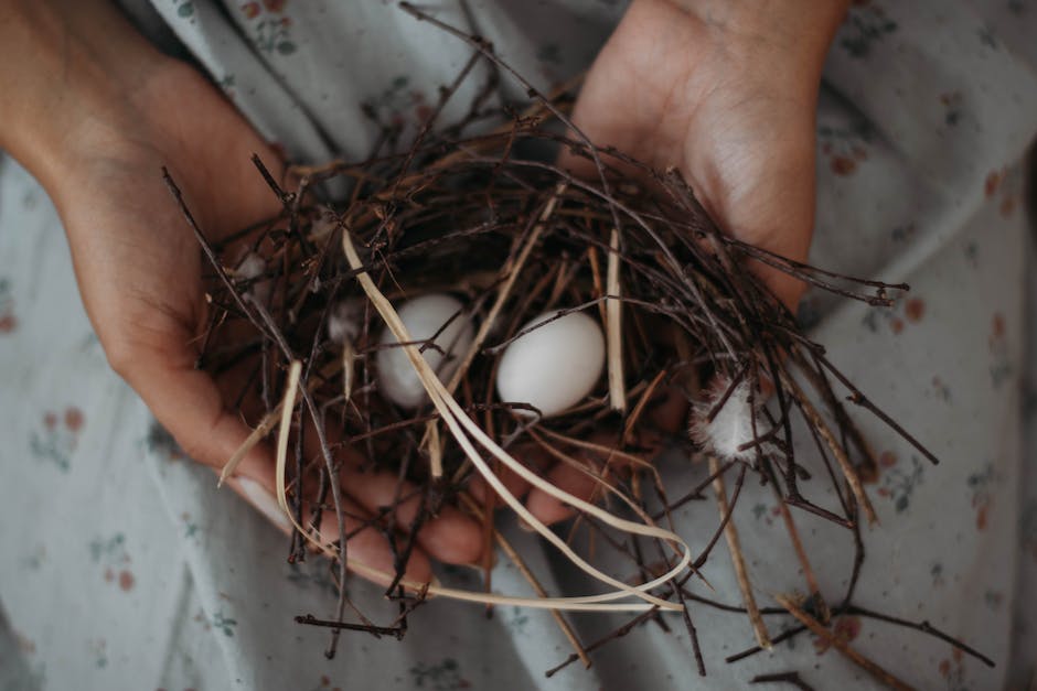  Anzahl der Eier, die ein Haushuhn pro Jahr legt