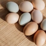 Abbildung der Gründe, warum meine Hühner keine Eier legen